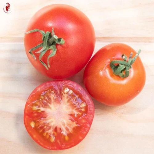 Semences tomate rouge précoce glacier 35graines
