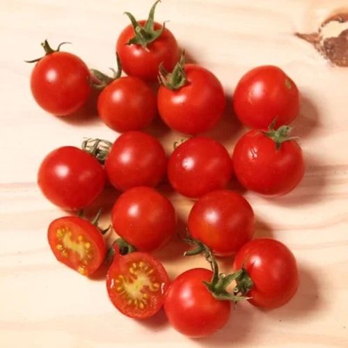 Semences tomate-cerise rouge précoce ambrosia red 35graines